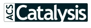 南開大學朱守非教授新任ACS Catalysis副主編